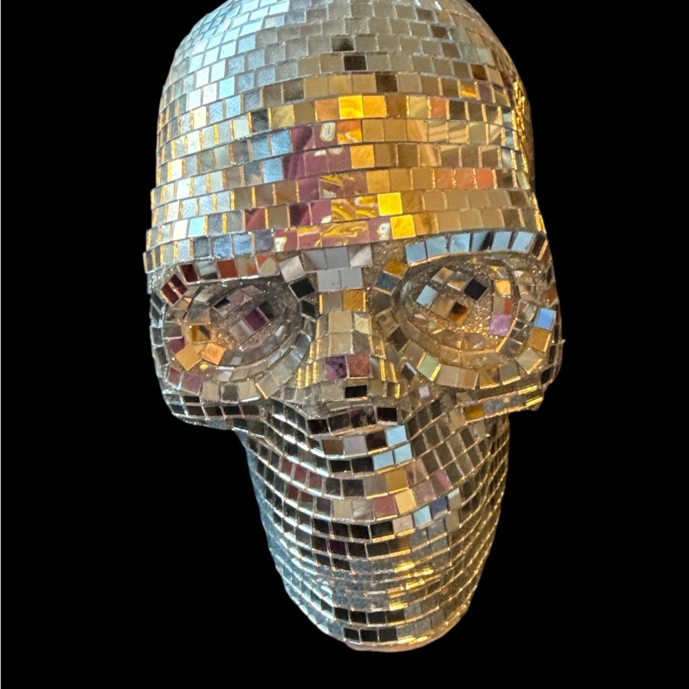 NWT Disco Skull Art Decor in Silver none missing 7 x 8”